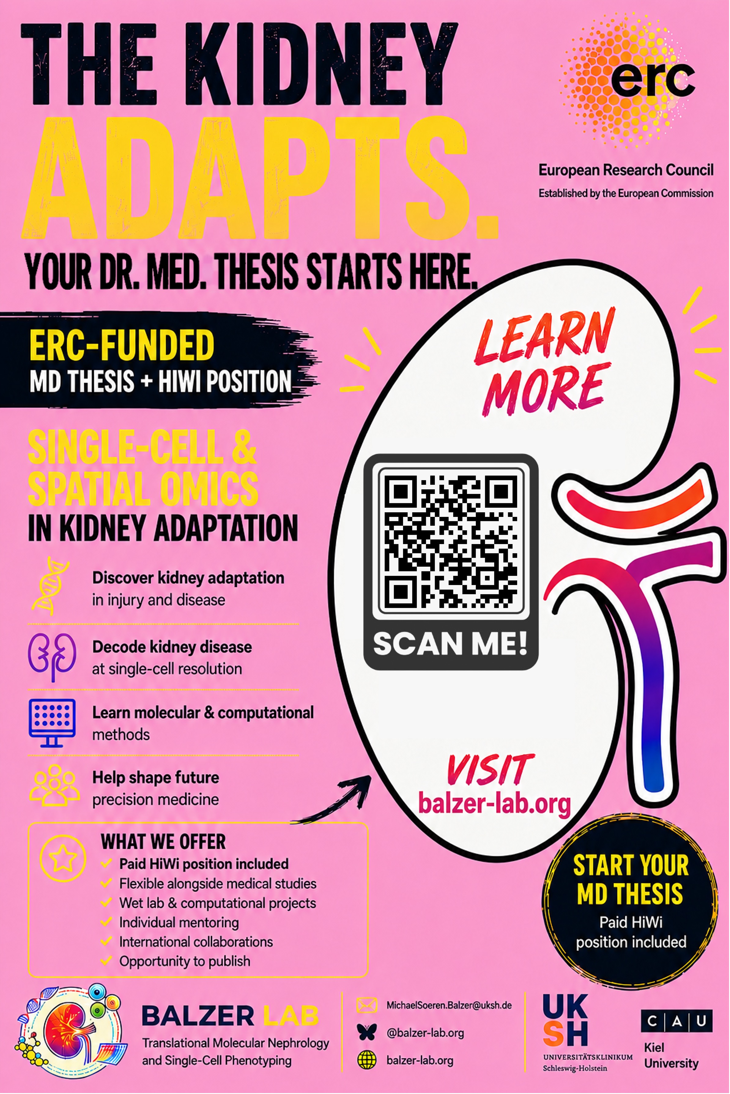 MD thesis projects available for medical students at UKSH