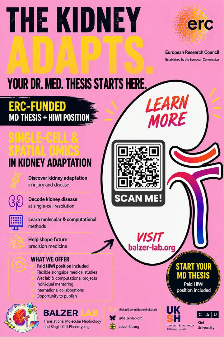 MD thesis projects available for medical students at UKSH