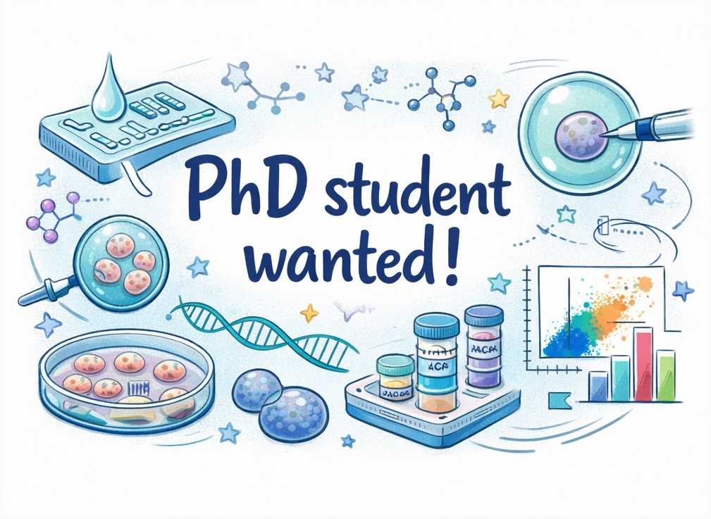 BALZER LAB is hiring a PhD student