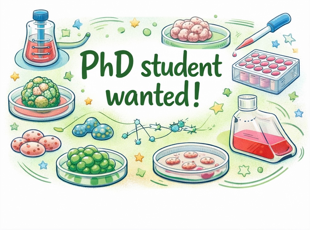 BALZER LAB is hiring a PhD student