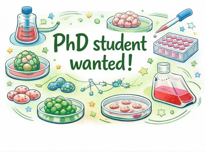 BALZER LAB is hiring a PhD student