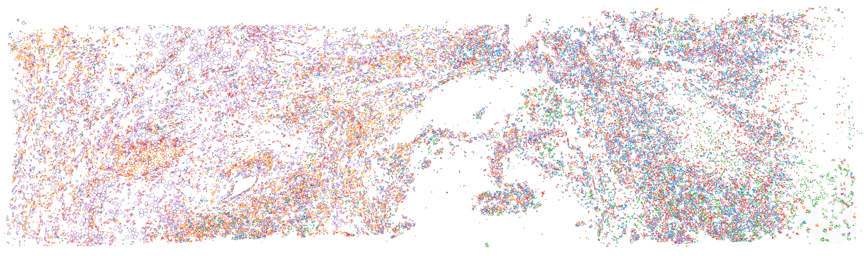 Single-cell nephrology research