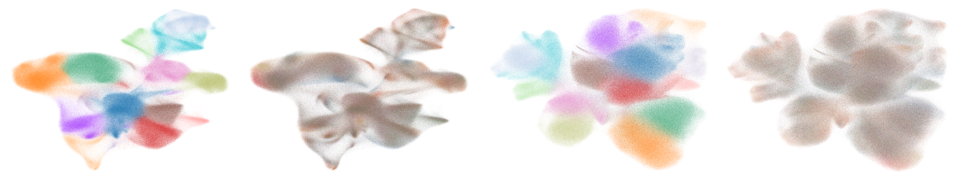 Renal tissue and cellular microenvironment